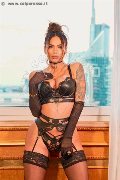 Foto Annunci Nauana Lima Pornostar Transescort Milano 3936529793 - 89