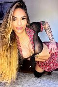 Foto Annunci Nauana Lima Pornostar Transescort Milano 3936529793 - 118