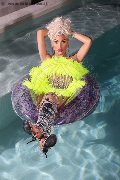Foto Annunci Nina La Divina Transescort Ibiza 0034617911341 - 82