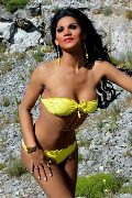 Foto Annunci Patricia Tx Trans Torre Del Lago Puccini 3714586542 - 43