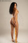 Foto Annunci Perla Escort Treviso 3921586689 - 9