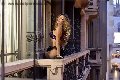 Foto Annunci Rayca Transescort San Gallo 3485638746 - 236