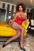 Foto Annunci Riccia Transescort Torino 3663044467 - 27