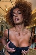 Foto Annunci Riccia Transescort Torino 3663044467 - 3
