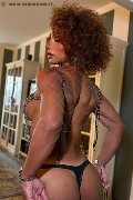 Foto Annunci Riccia Transescort Torino 3663044467 - 9