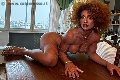 Foto Annunci Riccia Transescort Torino 3663044467 - 21