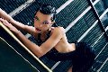 Foto Annunci Samirasexy Girl Milano 3385968150 - 3
