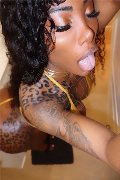 Porto Trans Campbell 393 33 57 541 foto selfie 2