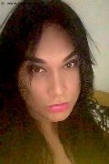 Bordighera Trav Danny Xl 351 12 50 360 foto selfie 1