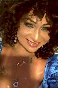 Gallarate Trans Daysy 339 33 89 602 foto selfie 16