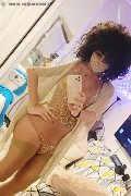 Frosinone Trans Escort Daysy 339 33 89 602 foto selfie 13
