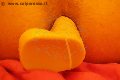 Genova Trav Lola Orsini Adorno 339 57 05 821 foto selfie 48