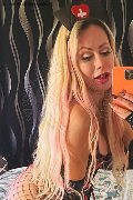  Trans Escort Michelle Prado 392 80 20 175 foto selfie 16