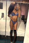 Roma Trans Miele 331 78 08 280 foto selfie 16