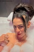 Milano Trans Natalia Rodrigues Pornostar 392 11 96 784 foto selfie 3