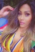 Milano Trans Escort Nicolly Hilton 392 33 27 327 foto selfie 1