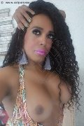 Mestre Trans Escort Paolina Mulatta 333 29 10 933 foto selfie 11