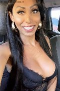 Trans Escort Thayys Castro 329 72 89 046 foto selfie 98