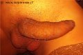 Termoli Trans Escort Vittoria Mazza 334 77 63 969 foto selfie 18