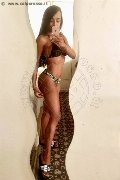 Sanremo Trans Escort Vivy  Noronha 333 18 67 209 foto selfie 5