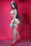 Foto Annunci Sofia Xxl Transescort Jesolo 3928104305 - 13