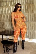 Foto Annunci Thalya Cyclone Transescort Ginevra 3713993846 - 5