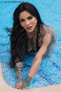 Foto Annunci Ts Clary Santos Transescort Madrid 0034612216651 - 12