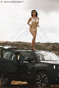 Foto Annunci Vanessa Hilton Trans Modena 3245846577 - 110