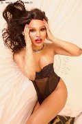 Foto Annunci Vanessa Nocciola Transescort 3392880056 - 30