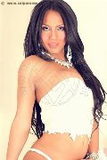 Foto Annunci Adrianna Transescort San Salvo 3397965355 - 30
