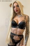 Foto Annunci Brunna Campanaro Transescort Bologna 3509335566 - 15