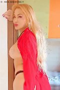 Foto Annunci Camelia Transescort Nettuno 3383977686 - 71