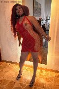 Foto Annunci Carolina Sexy Transescort Siena 3486599498 - 16
