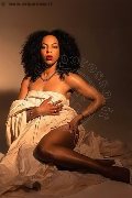 Foto Annunci Elara Transescort Bologna 3519289028 - 3