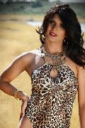 Foto Annunci Flavia Bambola Trav Basilea 3313153877 - 88