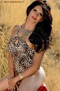 Foto Annunci Flavia Bambola Travescort Basilea 3313153877 - 89
