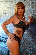 Foto Annunci Giorgia Trans Alessandria 3467304393 - 42