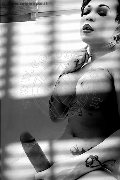 Foto Annunci Hot Dior Trans Genova 3472825420 - 138