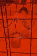 Foto Annunci Hot Giada Escort Varese 3508917939 - 1