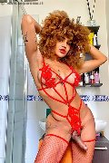 Foto Annunci Hot Stella Trans Milano 3295563971 - 5