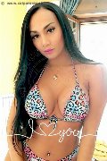 Foto Annunci Luana Fernandes Trans Roma 3246046310 - 20