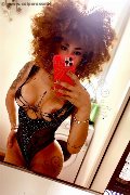 Milano Trans Escort Stella 329 55 63 971 foto selfie 1