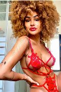 Foto Annunci Stella Transescort Milano 3295563971 - 29