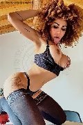 Foto Annunci Stella Transescort Milano 3295563971 - 1