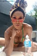 Foto Annunci Wanessa Ambrosio Trans Frosinone 3518069231 - 10