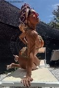Foto Annunci Wanessa Ambrosio Trans Frosinone 3518069231 - 14