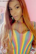 Foto Annunci Wanessa Ambrosio Transescort Frosinone 3518069231 - 149