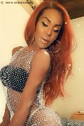 Foto Annunci Wanessa Ambrosio Transescort Frosinone 3518069231 - 205