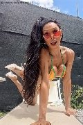 Foto Annunci Wanessa Ambrosio Transescort Frosinone 3518069231 - 3