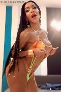 Foto Annunci Wanessa Ambrosio Transescort Frosinone 3518069231 - 120